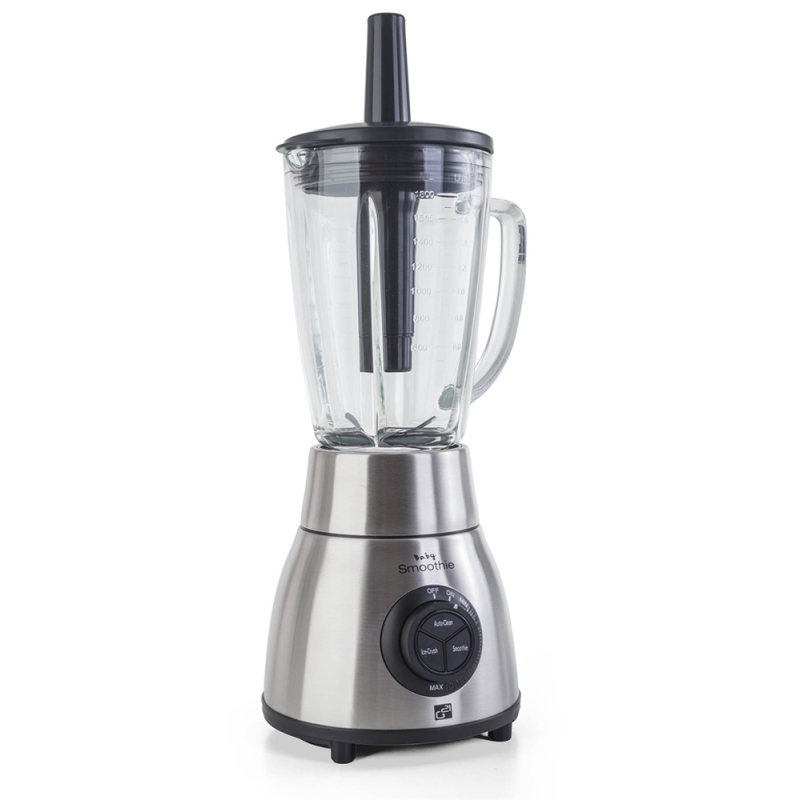 600855 Smoothie mixér G21 Stainless Steel