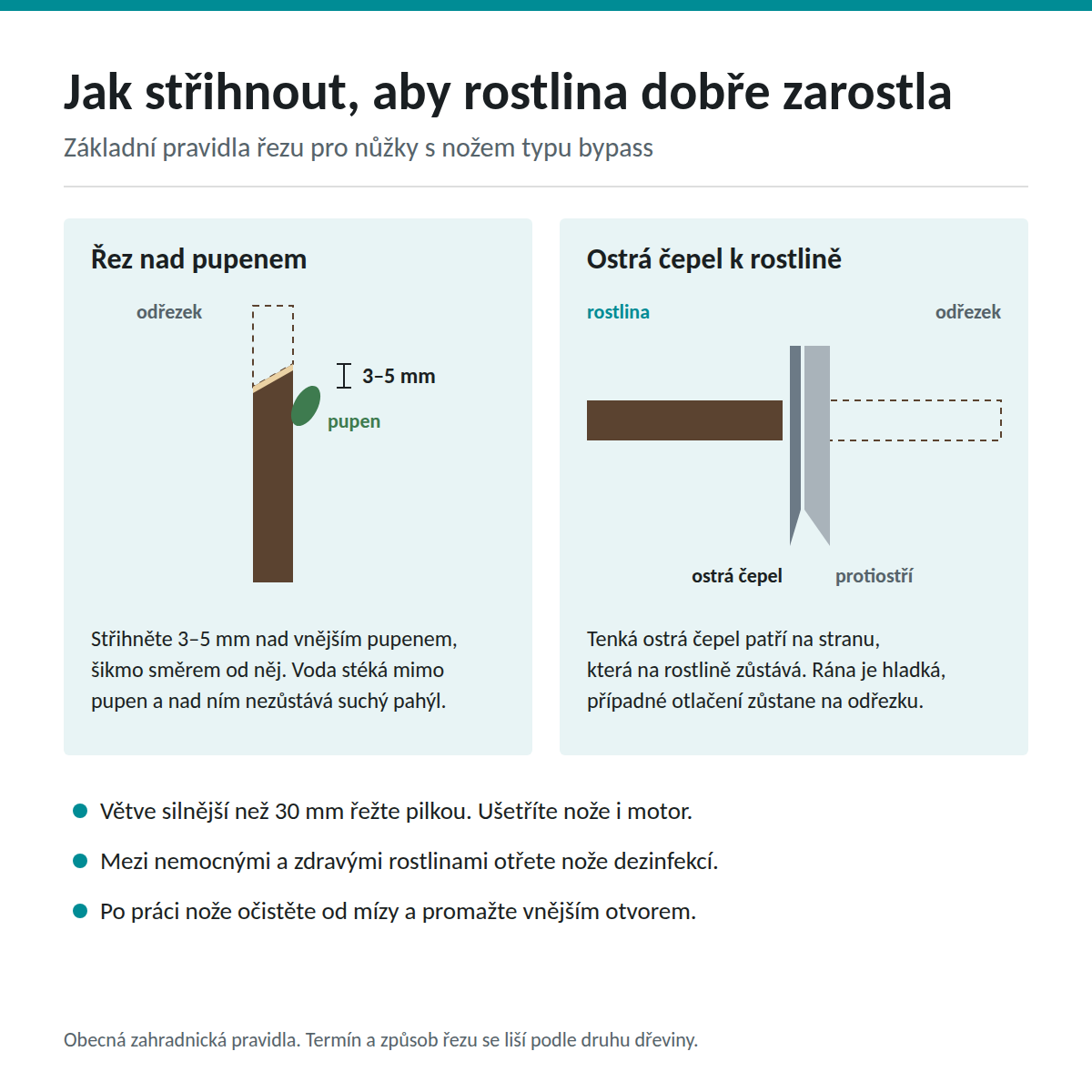 Jak správně stříhat aku nůžkami: řez 3–5 mm nad pupenem a orientace ostré čepele