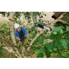 Aku teleskopický prořezávač větví bez aku 18V Bosch UniversalChainPole 18 06008B3101