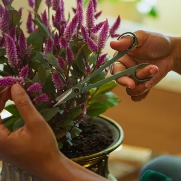 Plant Care sada nůžek s pouzdry, 3 ks Fiskars 1075317