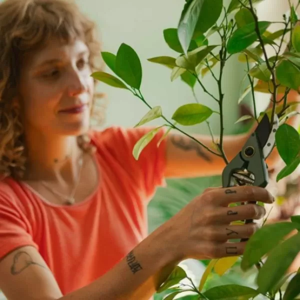 Plant Care zahradní nůžky s pouzdrem Fiskars 1075314