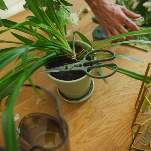 Plant Care prostřihávací nůžky s pouzdrem Fiskars 1075316