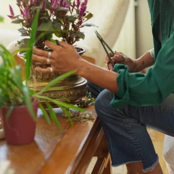 Plant Care prostřihávací nůžky s pouzdrem Fiskars 1075315