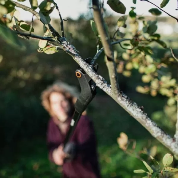 Zahradní nůžky prodloužené Solid Fiskars 1073082