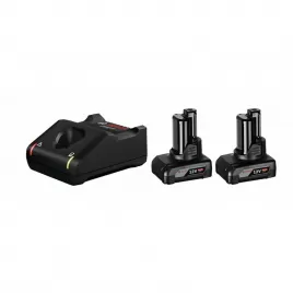 Startovací sada Bosch 2× GBA 12V 6.0Ah + GAL 12V 1600A01B20