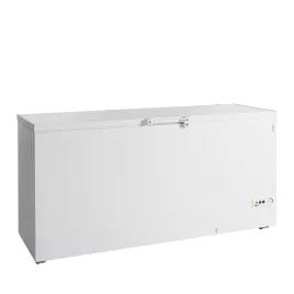 Mraznička na zmrzlinu plné víko Tefcold FR 605 SL