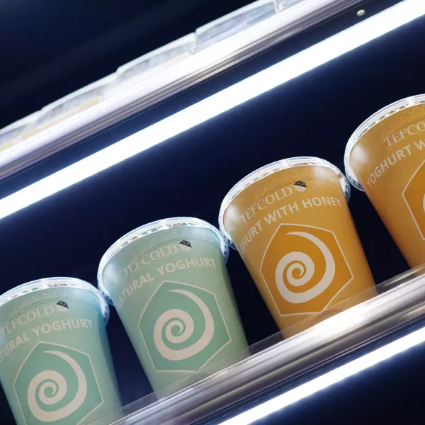 Chladicí vitrína přístěnná, kř. dveře Tefcold PC2500B