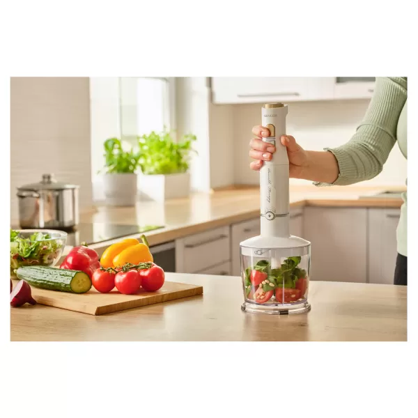 Tyčový mixér SENCOR SHB 6441WH