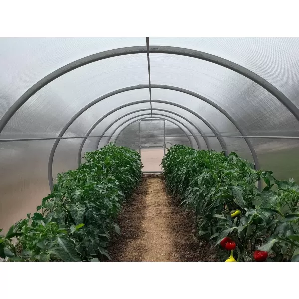 Skleník LANITPLAST DODO 300 3x4 m PC 8 mm šedý LG4348