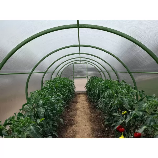 Skleník LANITPLAST DODO 300 3x4 m PC 4 mm zelený LG4352