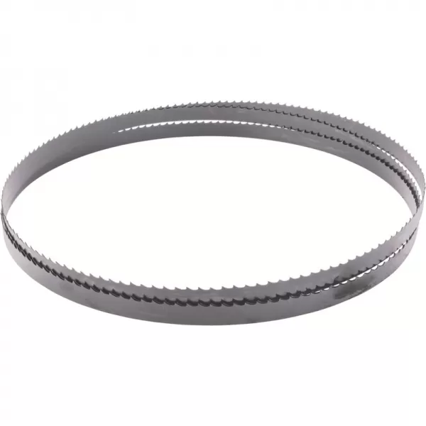 Pilový pás (1790 x 10 x 0,35 mm, 6 TPI) - pro HBS 261 Scheppach 7901505702