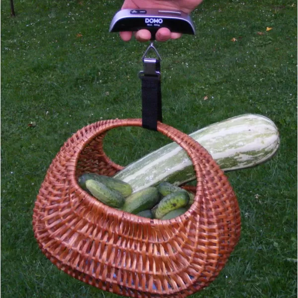 Digitální váha na zavazadla DOMO DO9090W