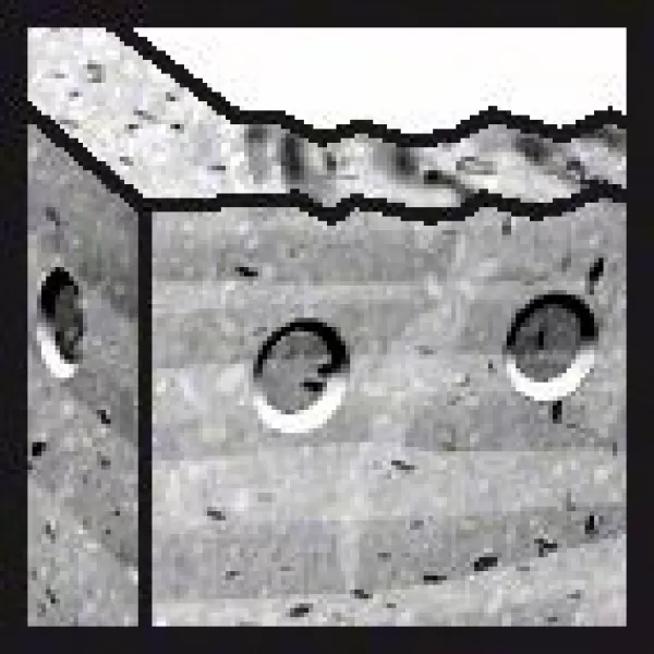 Vrták do kladiv SDS-plus-7 10 x 200 x 265 mm Bosch 2608586463