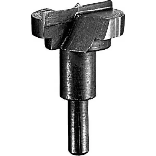 Sukovník osazený tvrdokovem 26 x 56 mm, d 8 mm Bosch 2608596979