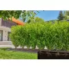 Kapací hadice pro keře/živé ploty (50 m) Gardena 13504-20