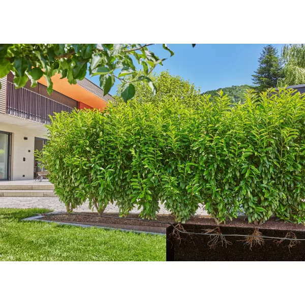 Micro-Drip-zavlažování keřů/živých plotů (50 m) Gardena 13501-20