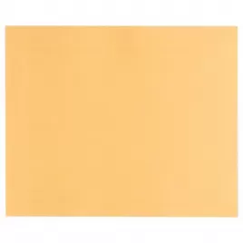 Brusný papír EXPERT C470 pro ruční broušení 230 × 280 mm, G 320 Bosch 2608900966