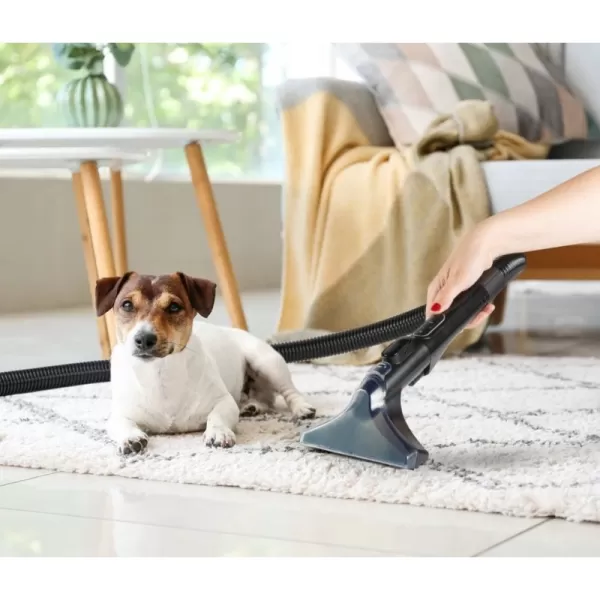 Multifunkční čistič skvrn - DOMO DO250SC