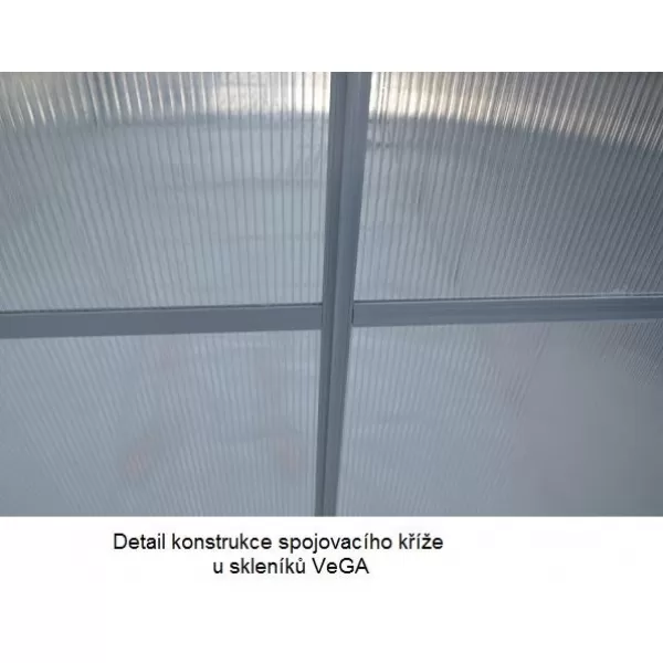 Zahradní skleník z polykarbonátu + základna zdarma VEGA 5000 STRONG-22