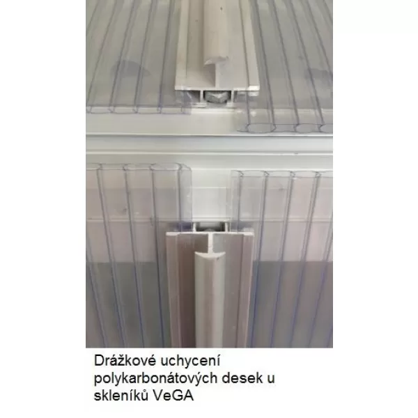 Zahradní skleník z polykarbonátu + základna zdarma VEGA 5000 STRONG-22