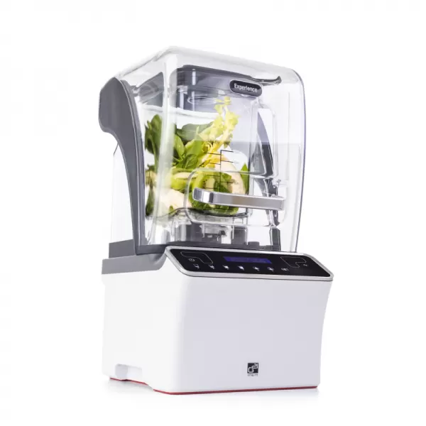 Smoothie mixér G21 Experience White