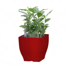 Samozavlažovací květináč G21 Cube mini červený 13.5 cm