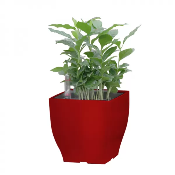 Samozavlažovací květináč G21 Cube mini červený 13.5 cm