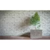 Květináč G21 Natur Box 71 x 51 x 30 639280