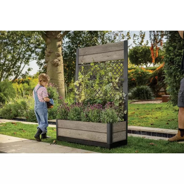 Květináč Keter Deco Tulip Ashwood 612081