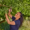 Zahradní nůžky PremiumCut na čerstvé dřevo Gardena 12241-20