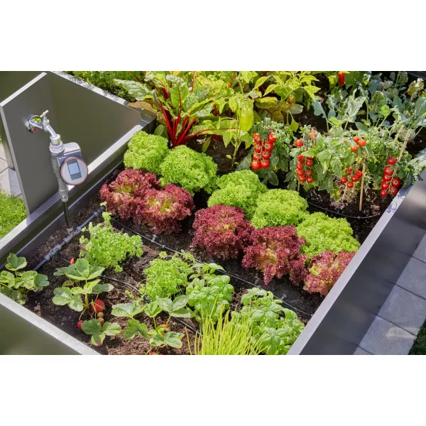 Startovací sada pro vyvýšené záhony/záhony (35 rostlin) Gardena 13455-20