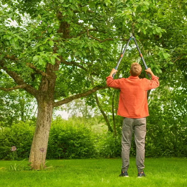 Nůžky na větve TeleCut Pro L, teleskopické nůžky pro čerstvé dřevo Gardena 12041-20