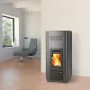 Peletová kamna HSP 6 s výměníkem Haas+Sohn 553808500000