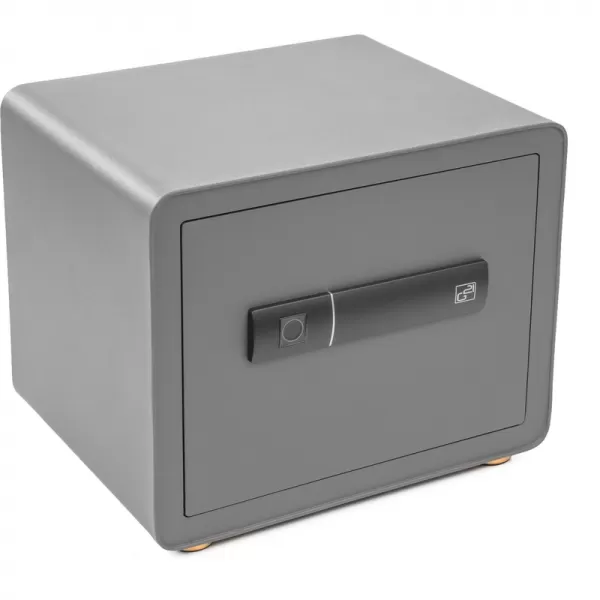 Trezor G21 na otisk prstu 380 x 310 x 300 mm 63922103