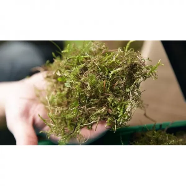 Provzdušňovač Bosch UniversalRake 900 060088A001