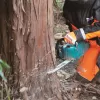 Aku řetězová pila 400 mm Li-ion XGT 40V bez aku Makita UC016GZ