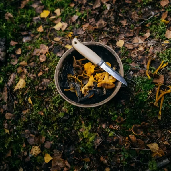 Outdoorový nůž Norden Fiskars 1072090