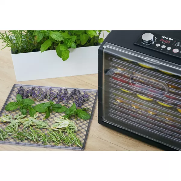 Sušička ovoce SENCOR SFD 6600BK