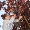 Aku řetězová pila mini CSM 1812 18V/bez aku AL-KO 114016