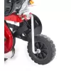 Motorový kultivátor EUROSYSTEMS EURO5 EVO 2+1 CR950 208