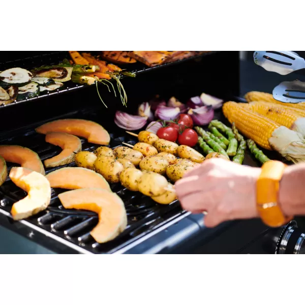 Plynový gril CAMPINGAZ SELECT 3 EXS