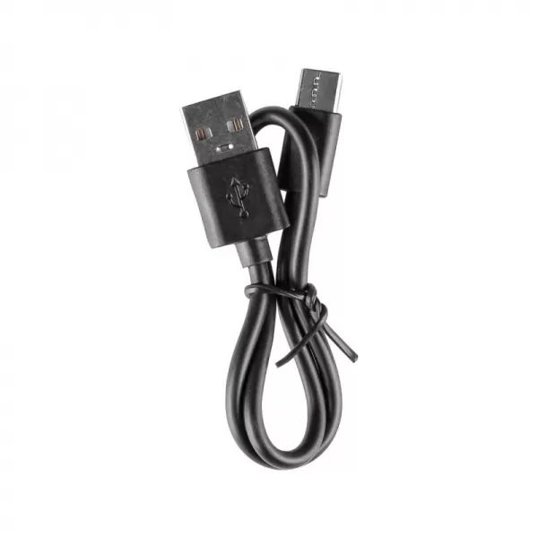 Powerbanka 10.000 mAh 612103900000