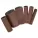 peddy_149601_0_1.jpg