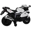 Elektrická motorka BMW K1300 BUDDY TOYS BEC 6010