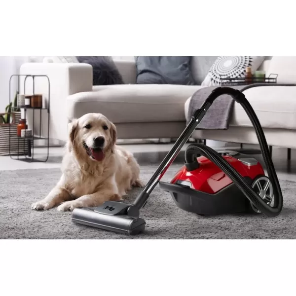 Sáčkový vysavač ANIMAL PRO DOMO DO42104S