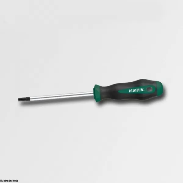 Šroubovák TRX S2 DIN5264 T10x80mm HONITON HW1714-08010