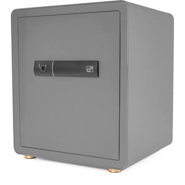 Trezor G21 na otisk prstu 400 x 450 x 350 mm 63922104