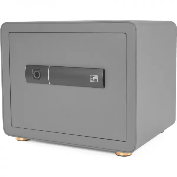Trezor G21 na otisk prstu 380 x 310 x 300 mm 63922103