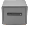 Trezor G21 na otisk prstu 380 x 310 x 300 mm 63922103