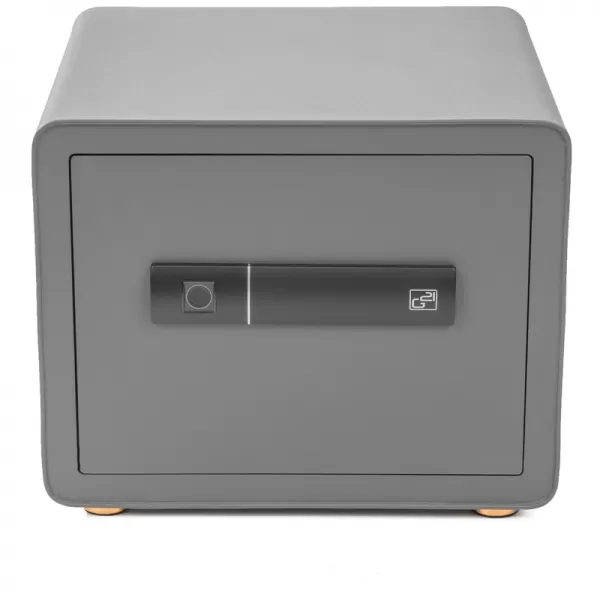 Trezor G21 na otisk prstu 380 x 310 x 300 mm 63922103